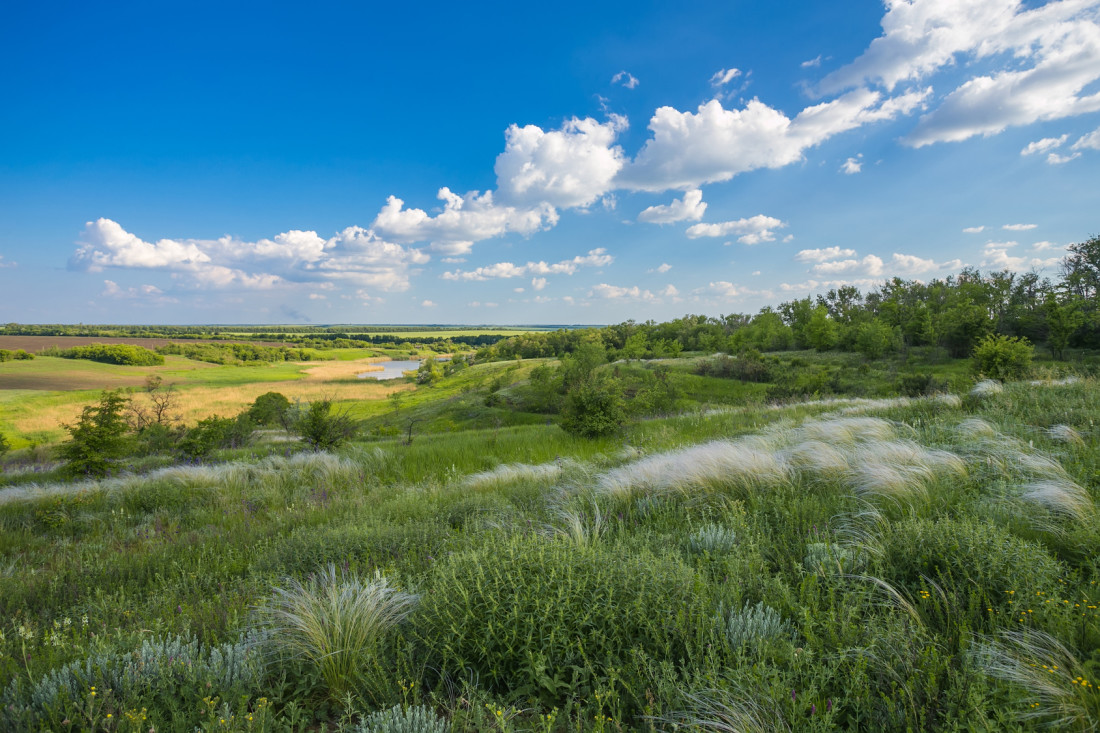 Undeveloped land