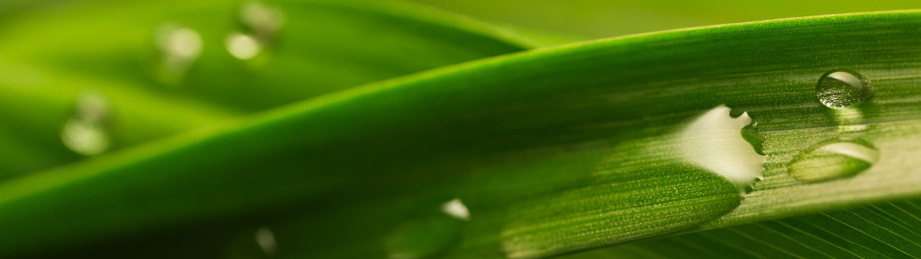 Photo of Environmental